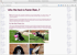 Personal Web Site
